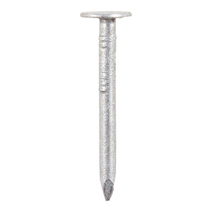 50 x 3.00 Clout Nail ELH Galvanised 500G GEC50MB