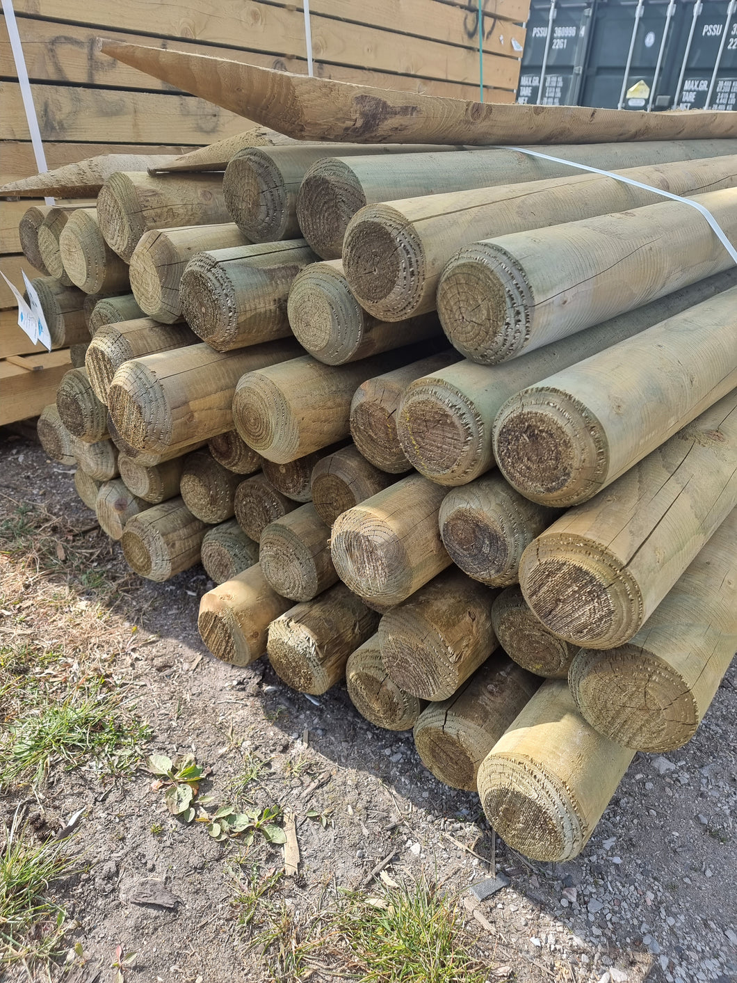 1.65 x 100 Full Round Treated Post Ptd