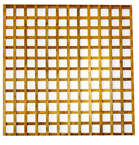 1828 x 1828 Trellis Square (6x6)