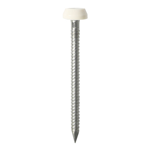 40mm Polymer Headed Pin - White TIMCO PP40WP